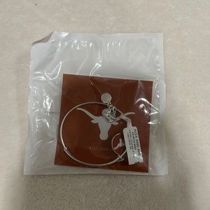 Alex and Ani UT bracelet